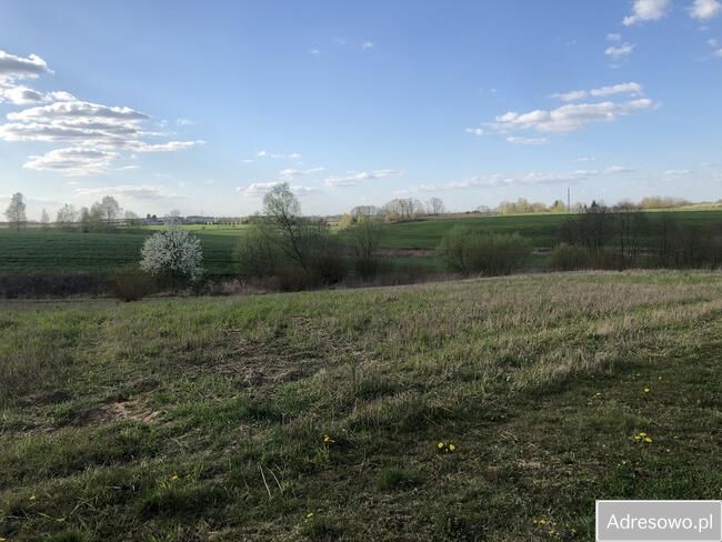 Działka budowlana Zarzeczewo Kulin. Zdjęcie 3