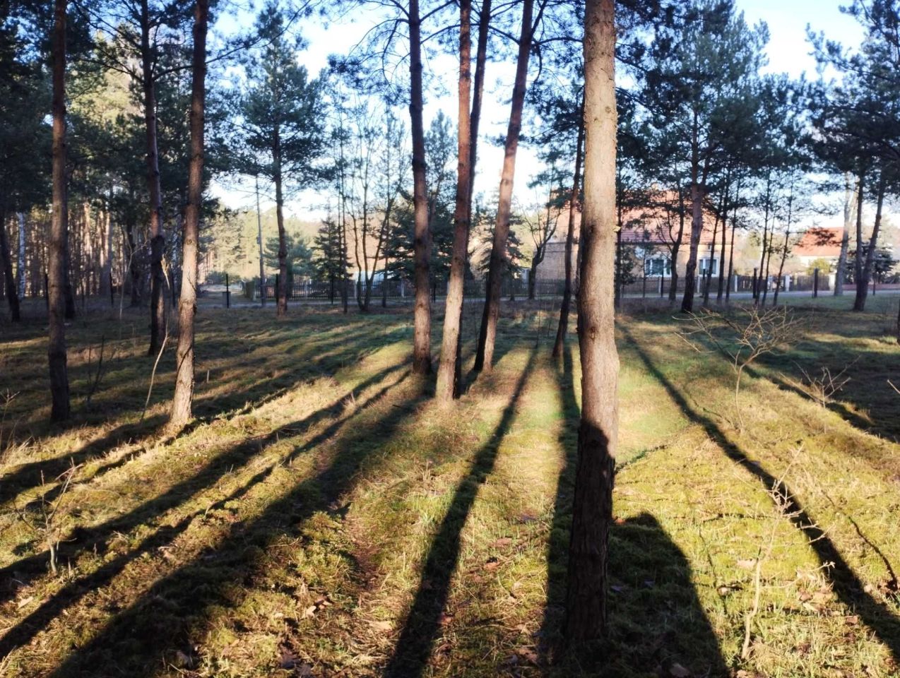 Działka rolna Świbinki. Zdjęcie 7