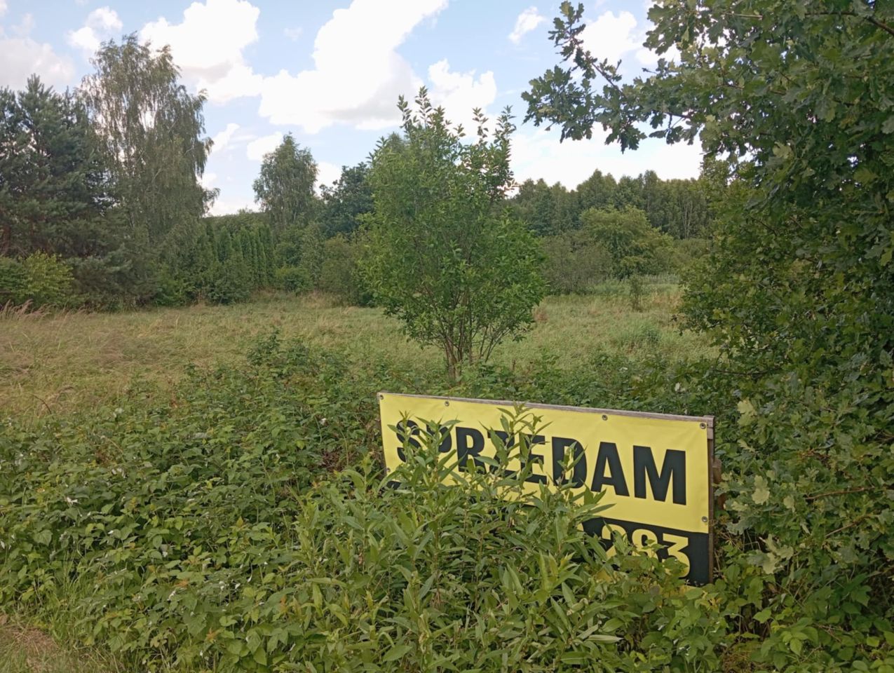 Działka rekreacyjna Bondyrz Mazury. Zdjęcie 5