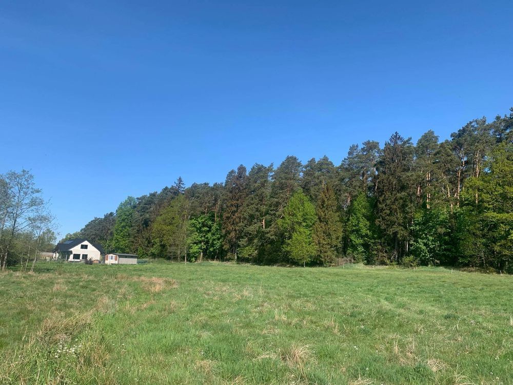 Działka rolno-budowlana Adamowo. Zdjęcie 5