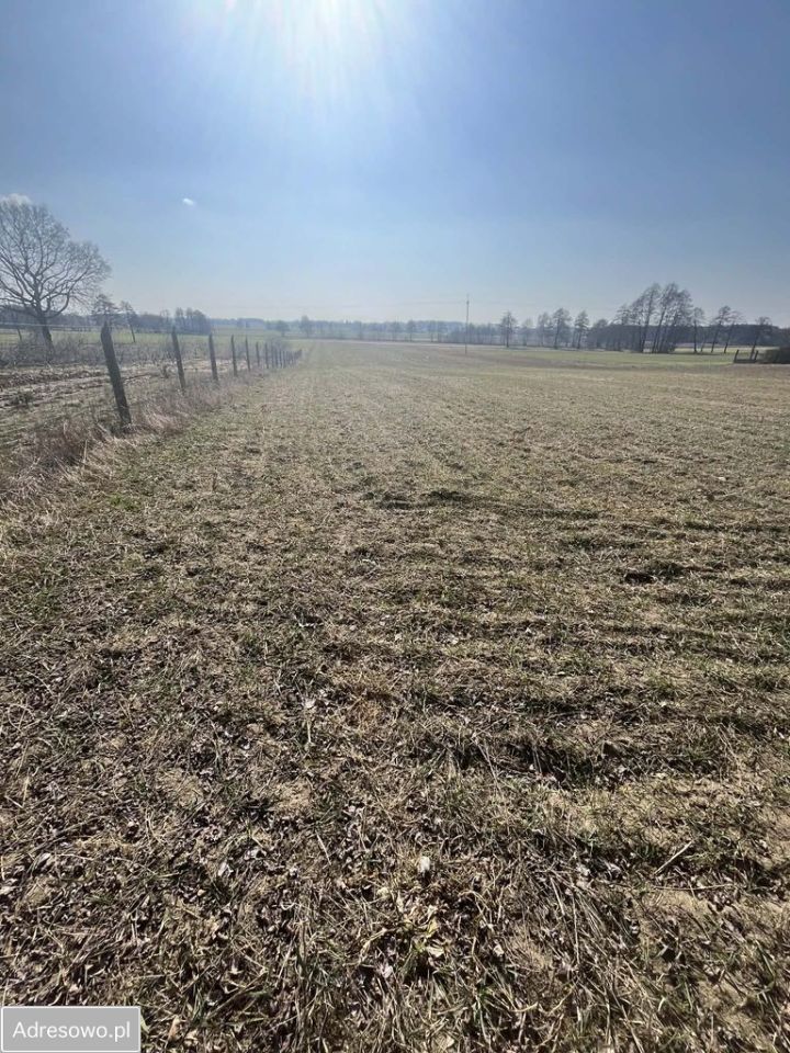 Działka budowlana Wyręba. Zdjęcie 6