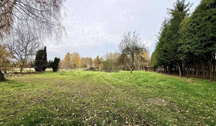 Działka budowlana Rybnik Zebrzydowice, ul. Krzywa