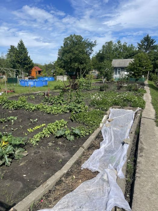 Działka rod Gdańsk. Zdjęcie 3