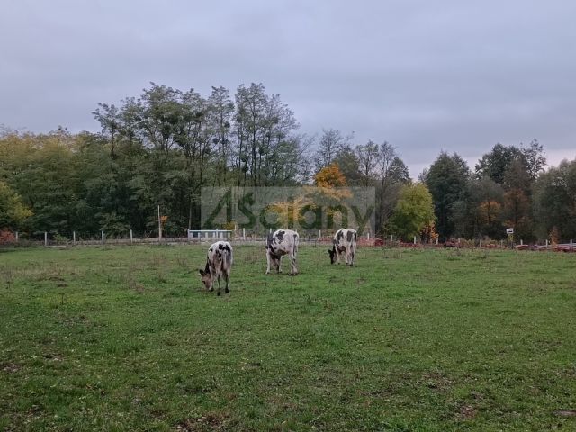 dworek, 10 pokoi Radzimowice. Zdjęcie 14