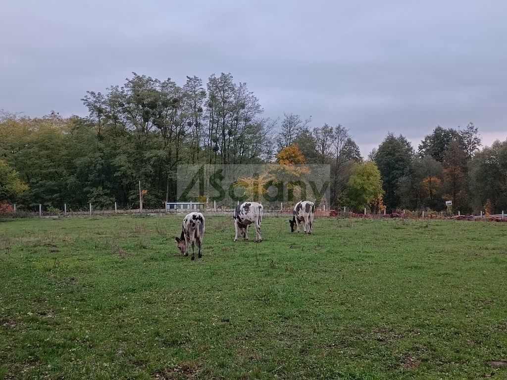 dworek, 10 pokoi Radzimowice. Zdjęcie 14