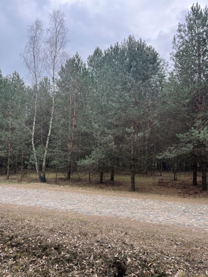 Działka rolna Dębienica. Zdjęcie 3