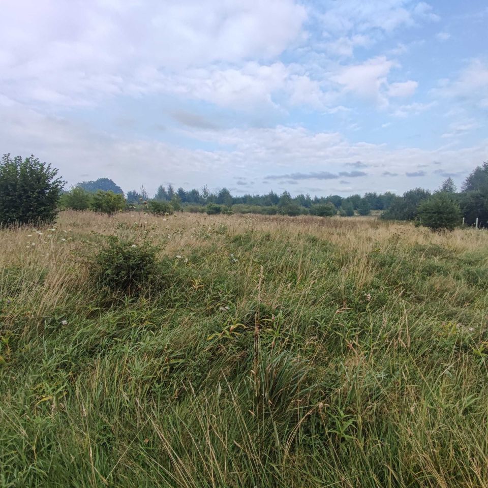 Działka budowlana Smolne. Zdjęcie 4