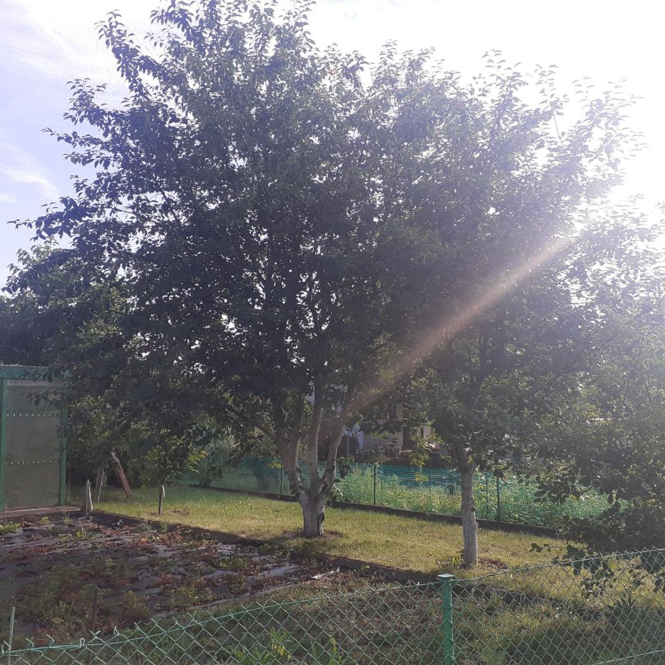 Działka rod Grzybiany, ul. Legnicka. Zdjęcie 4