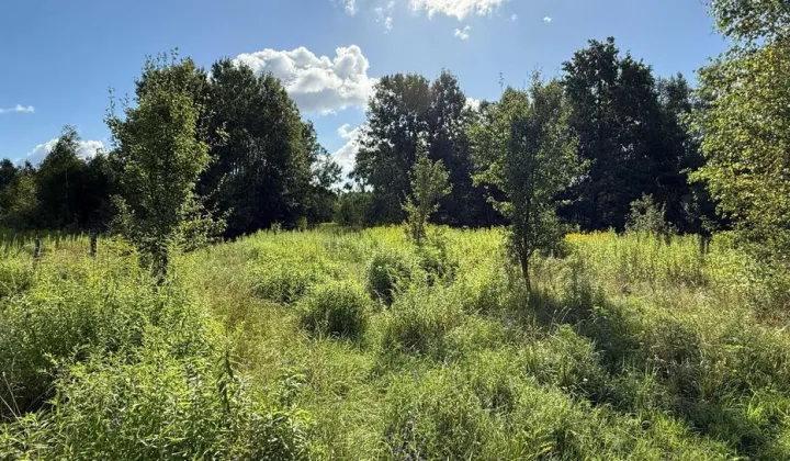 Działka budowlana Czubajowizna