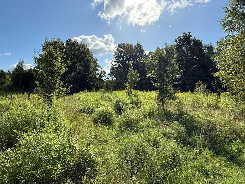 Działka budowlana Czubajowizna