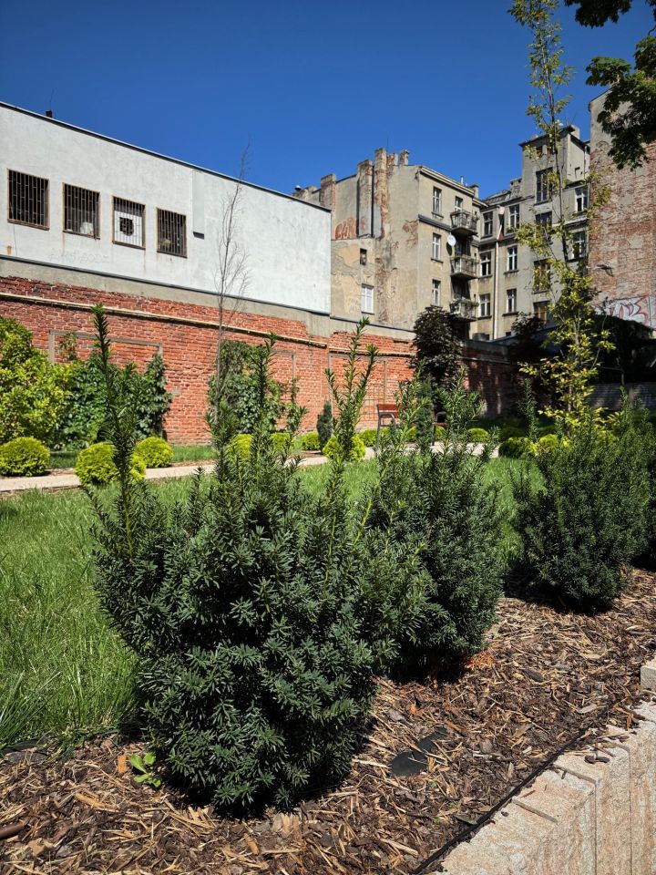 Mieszkanie 2-pokojowe Łódź Śródmieście, al. Tadeusza Kościuszki. Zdjęcie 10