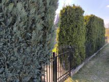 Działka rod Sierpc, ul. Adama Mickiewicza. Zdjęcie 2