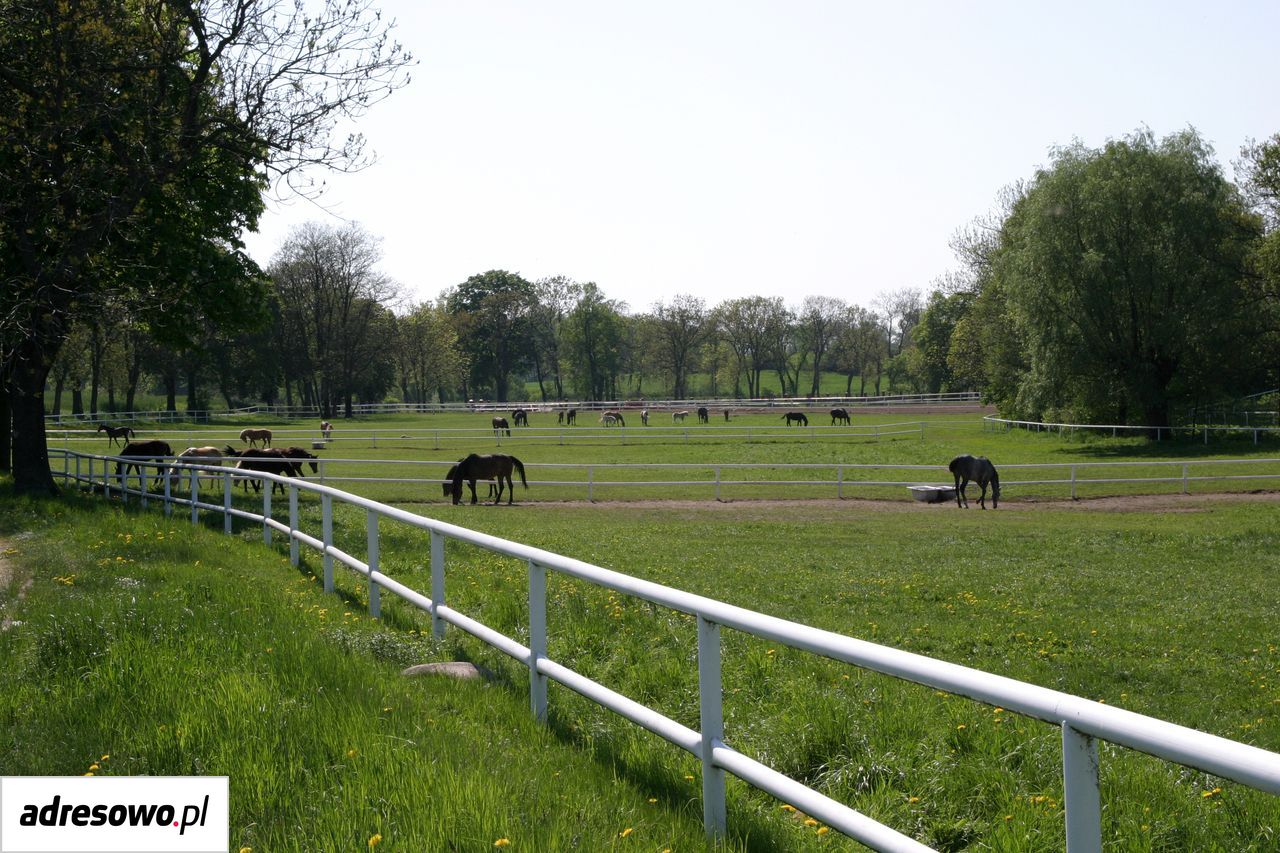 dworek, 14 pokoi Jeziorki. Zdjęcie 13
