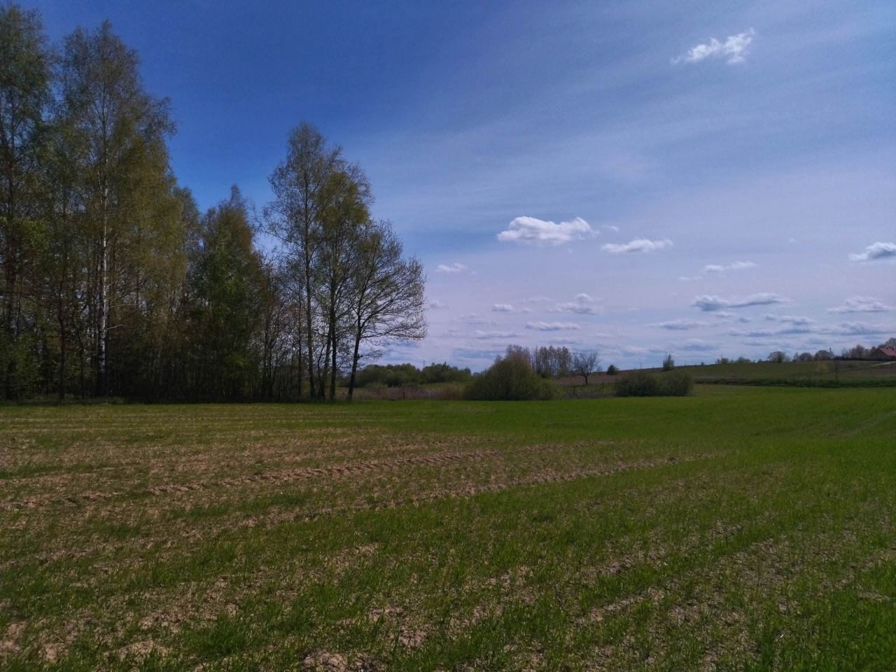 Działka budowlana Łączno. Zdjęcie 13