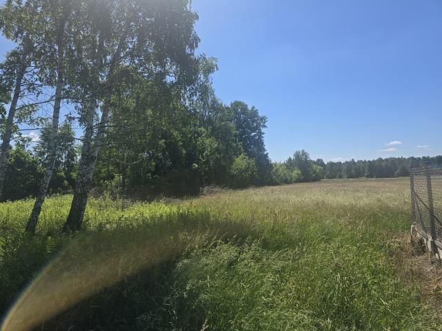 Działka siedliskowa Białki. Zdjęcie 2