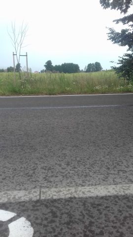 Działka budowlana Wierzbno, ul. Gorzycka. Zdjęcie 1