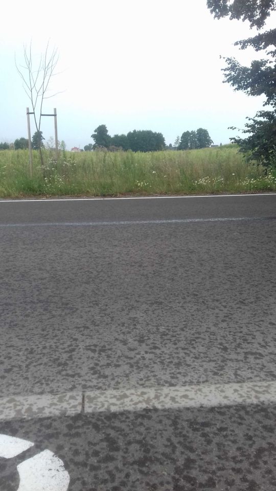 Działka budowlana Wierzbno, ul. Gorzycka