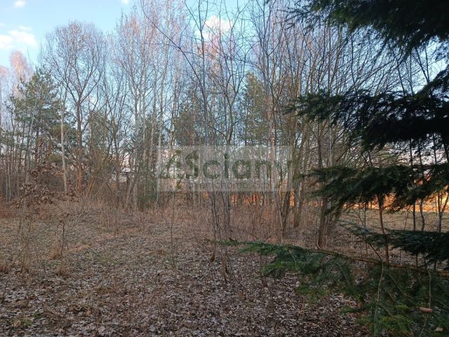 Działka budowlana Ojrzanów. Zdjęcie 12