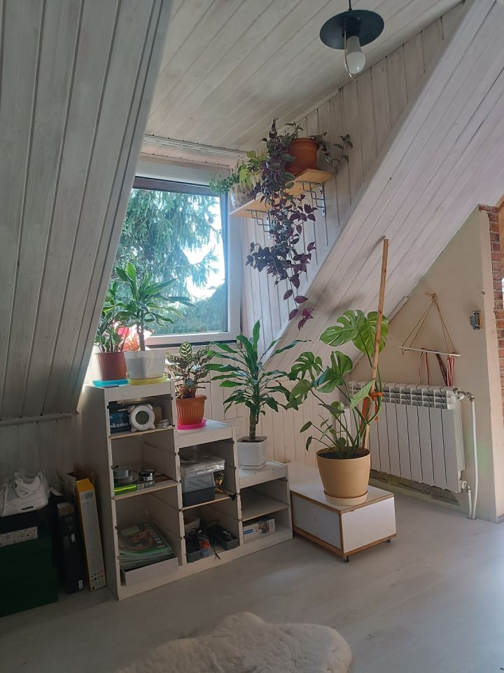 dom szeregowy, 3 pokoje Turowo Duże, Turowo Duże. Zdjęcie 16