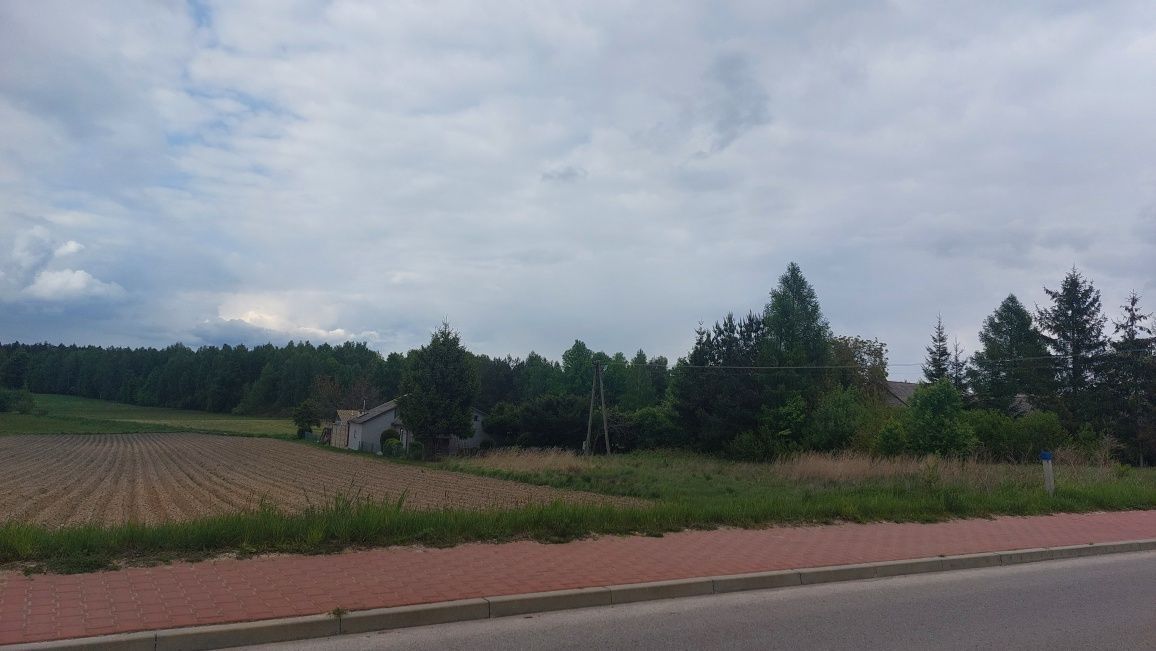 Działka rolno-budowlana Radkowice. Zdjęcie 4