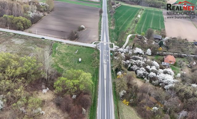 Działka inwestycyjna Pacanów. Zdjęcie 9