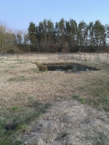 Działka rolna Gorzów Wielkopolski. Zdjęcie 1