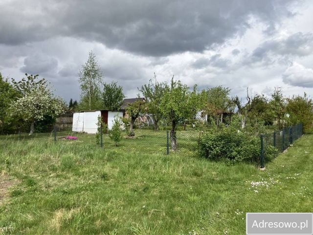 Działka rod Lubin. Zdjęcie 1