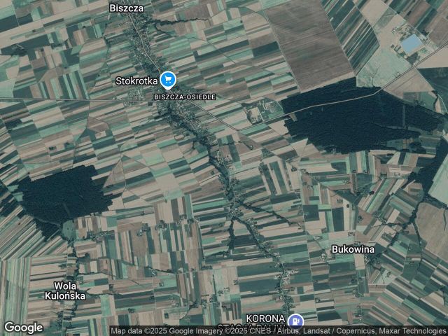 Mieszkanie 4-pokojowe Bukowina Kolonia Wschodnia. Zdjęcie 1