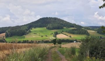 Działka inwestycyjna Dziwiszów