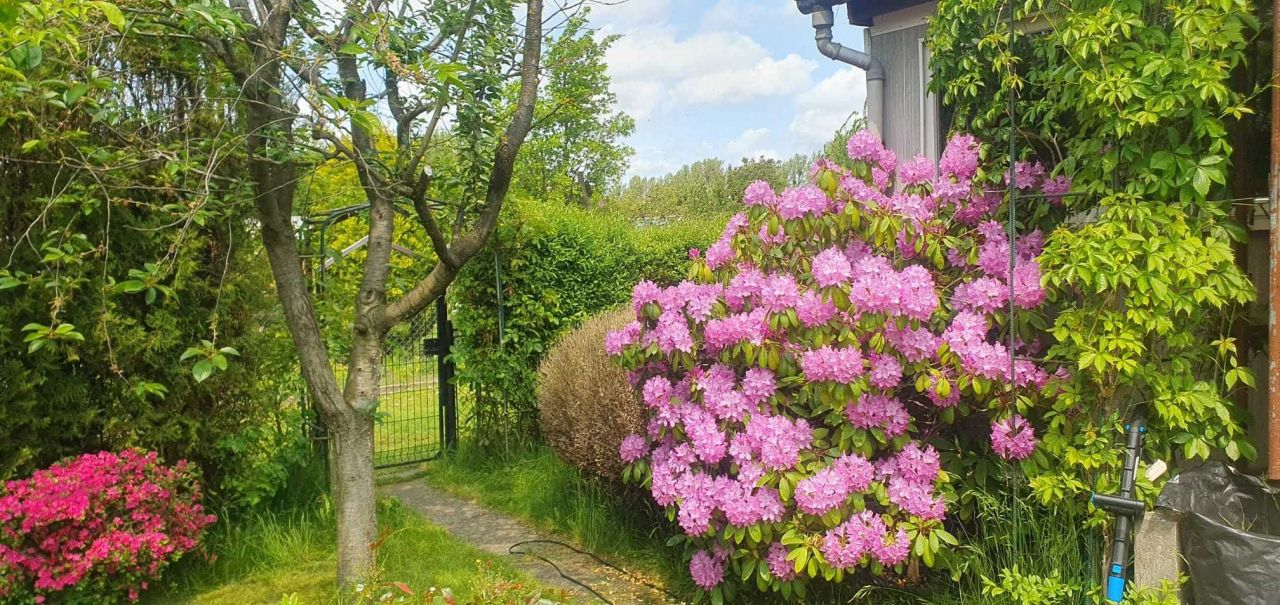 Działka rod Gdynia Babie Doły, ul. Zielona. Zdjęcie 2