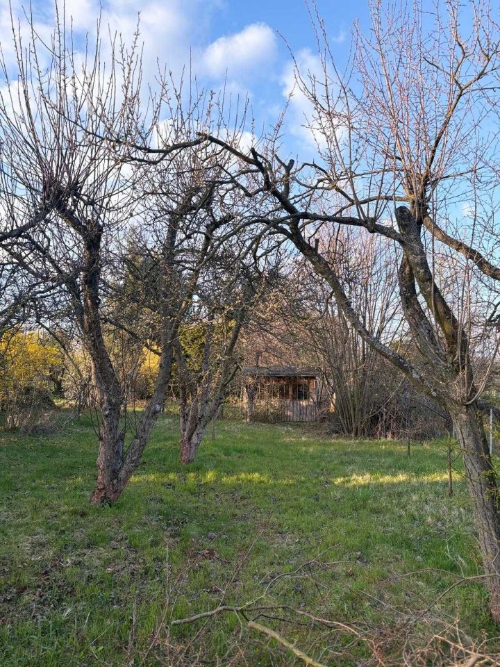 Działka rod Trzebnica. Zdjęcie 1