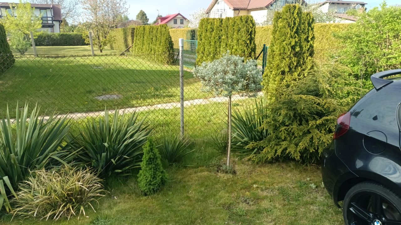 Działka rod Dziwnówek, ROD Belona. Zdjęcie 7