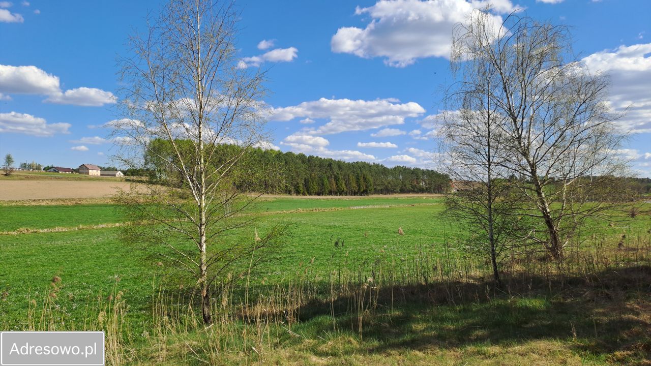 Działka budowlana Tuszkowy. Zdjęcie 9