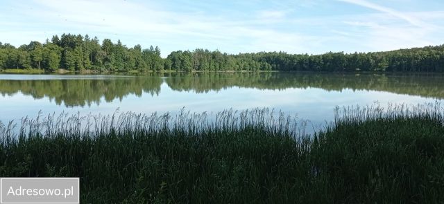 Działka budowlana Cetuń. Zdjęcie 1