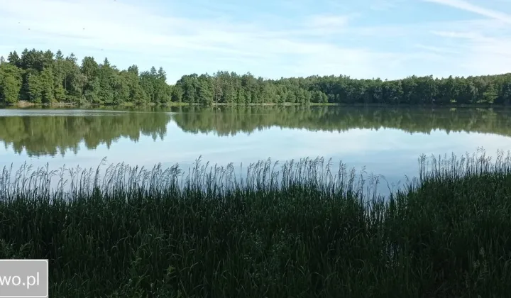 Działka budowlana Cetuń