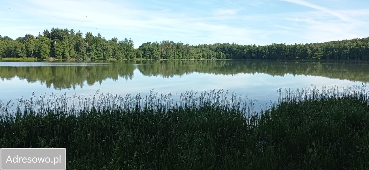 Działka budowlana Cetuń. Zdjęcie 1