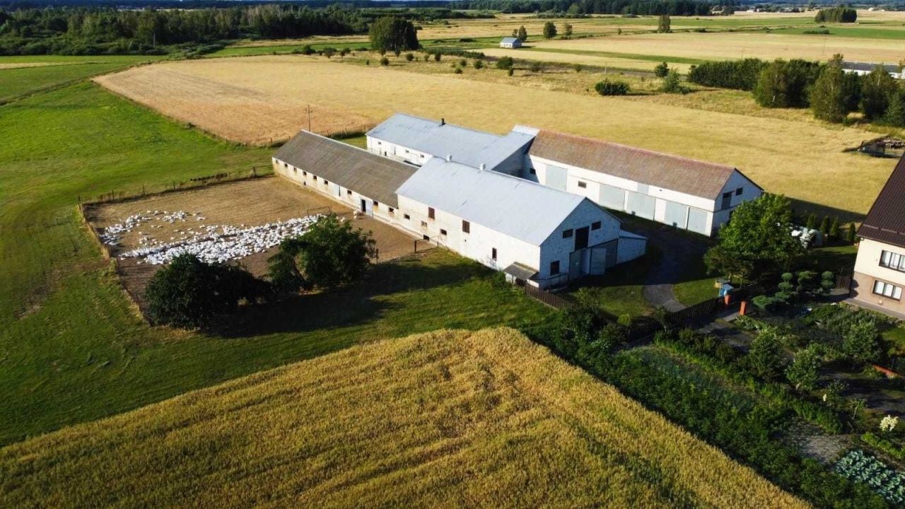 Działka siedliskowa Siedlanów. Zdjęcie 5