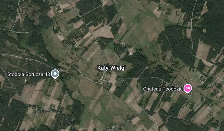 Działka leśna Kąty-Wielgi