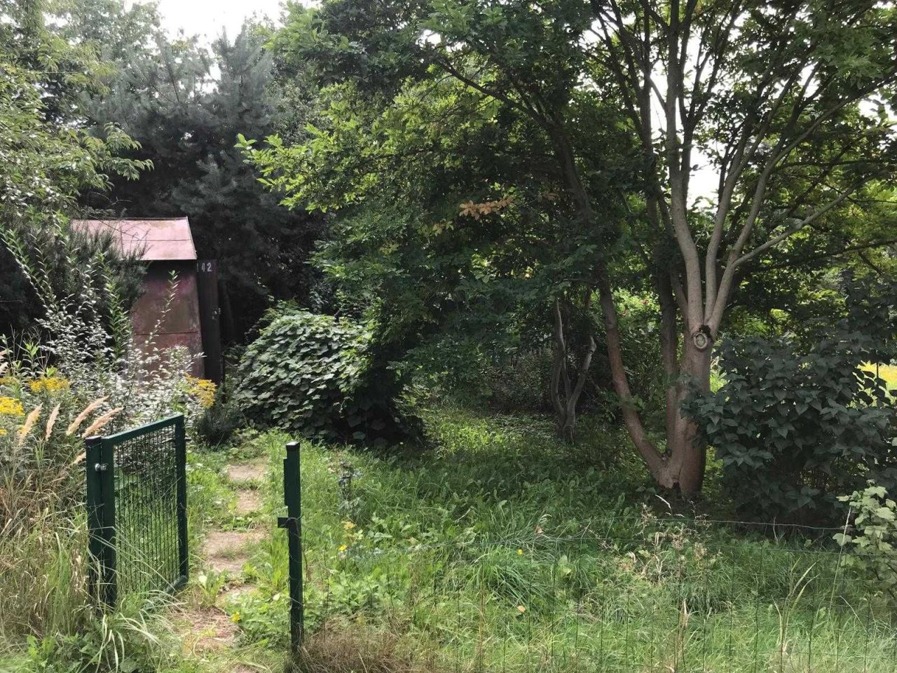 Działka rod Lublin Węglin. Zdjęcie 5