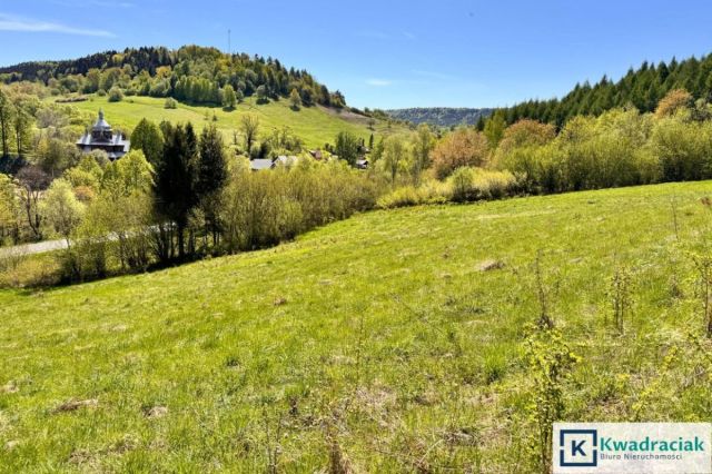 Działka rolna Hoszów. Zdjęcie 6