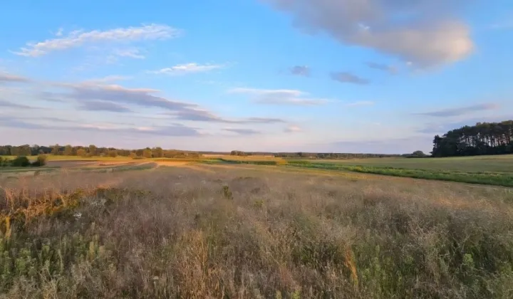 Działka budowlana Borów