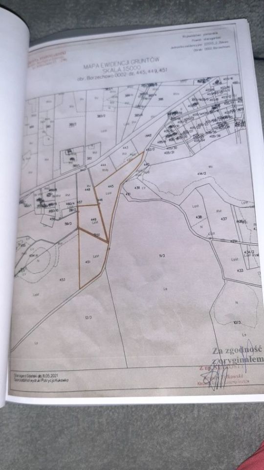 Działka leśna Borzechowo. Zdjęcie 2