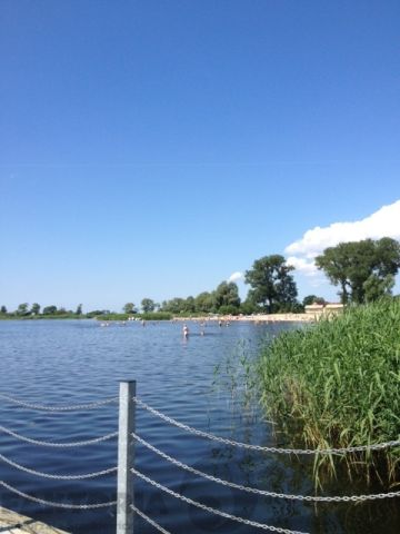 Działka rekreacyjna Lubczyna, ul. Kasztanowa. Zdjęcie 9