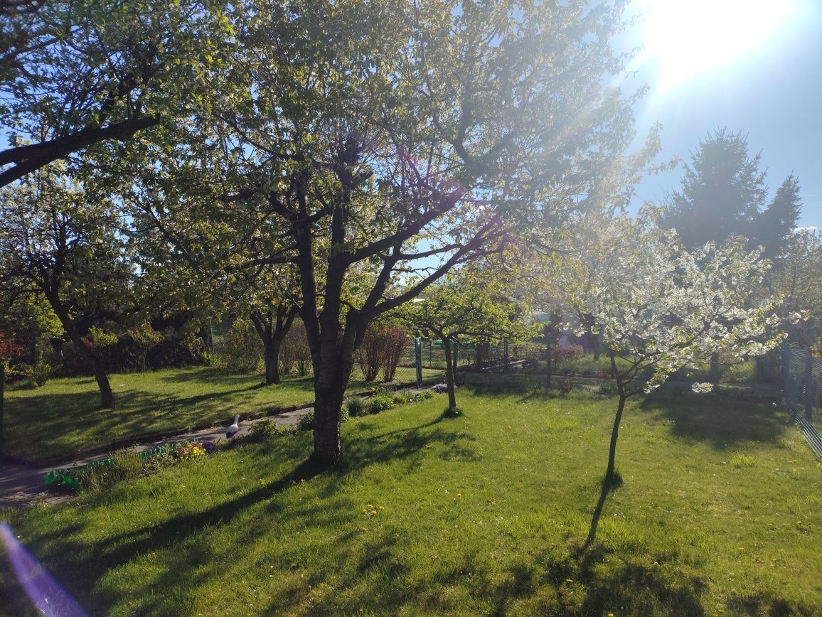 Działka rod Gliwice Szobiszowice. Zdjęcie 3