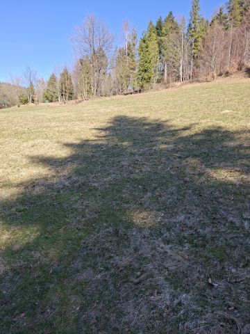 Działka rolna Koszarawa Bystra, Turystyczna. Zdjęcie 1