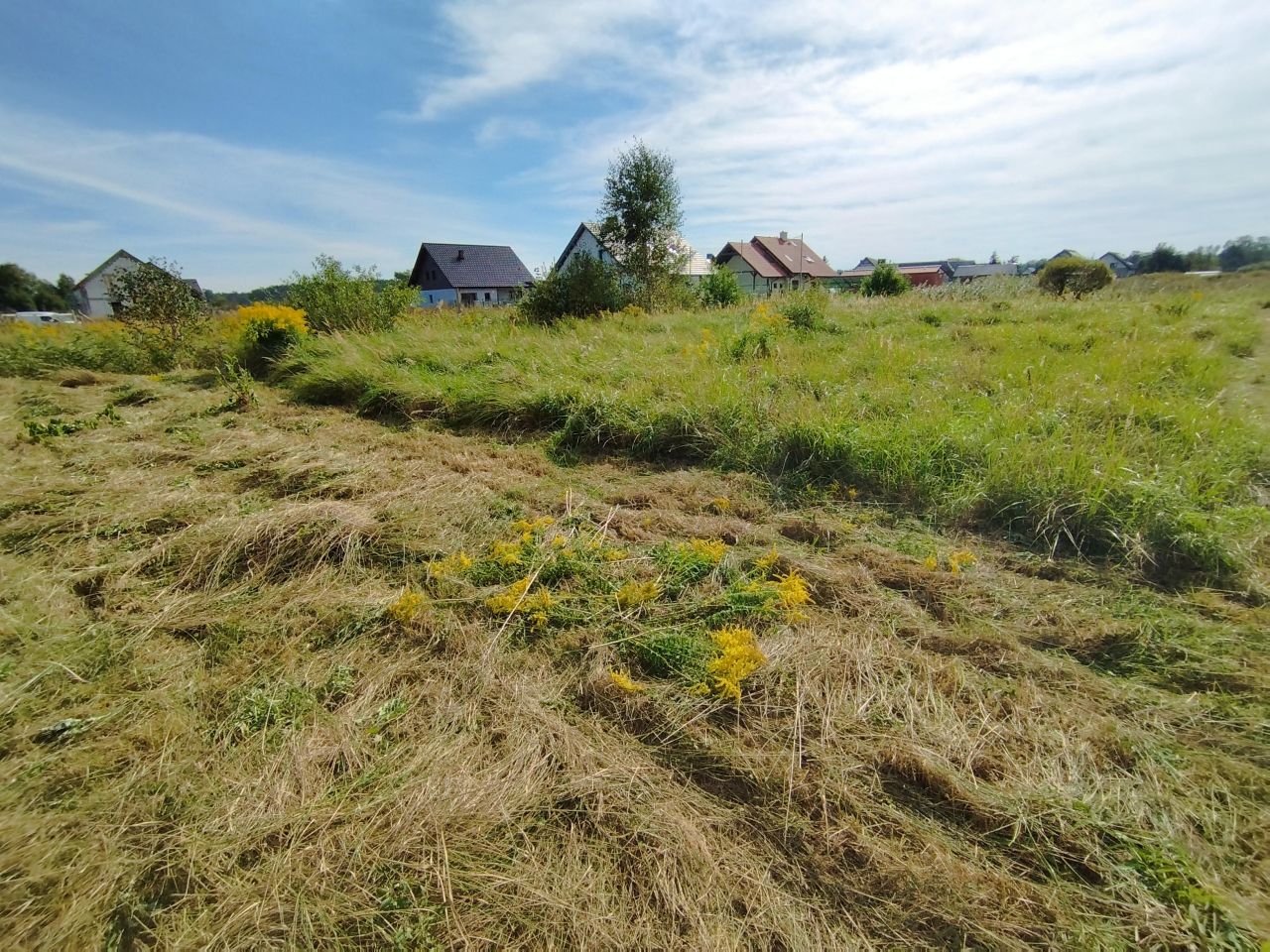 Działka budowlana Niedźwiedź, ul. Jemiołuszki. Zdjęcie 6