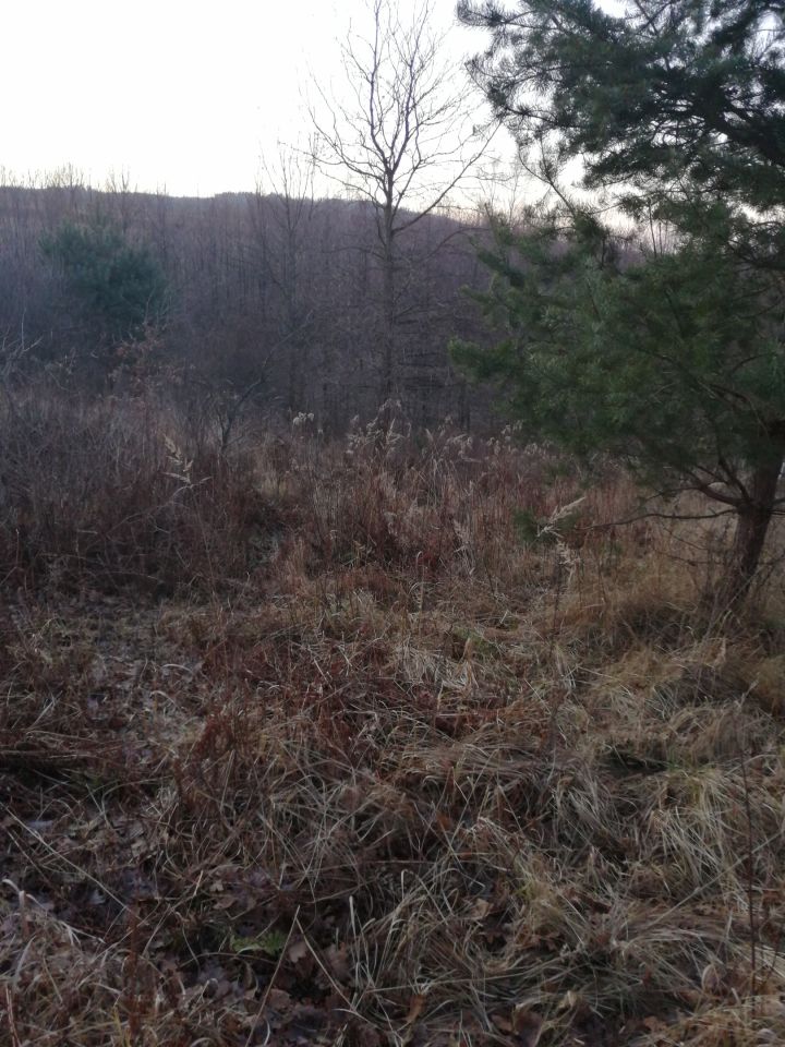 Działka inna Lutcza. Zdjęcie 4