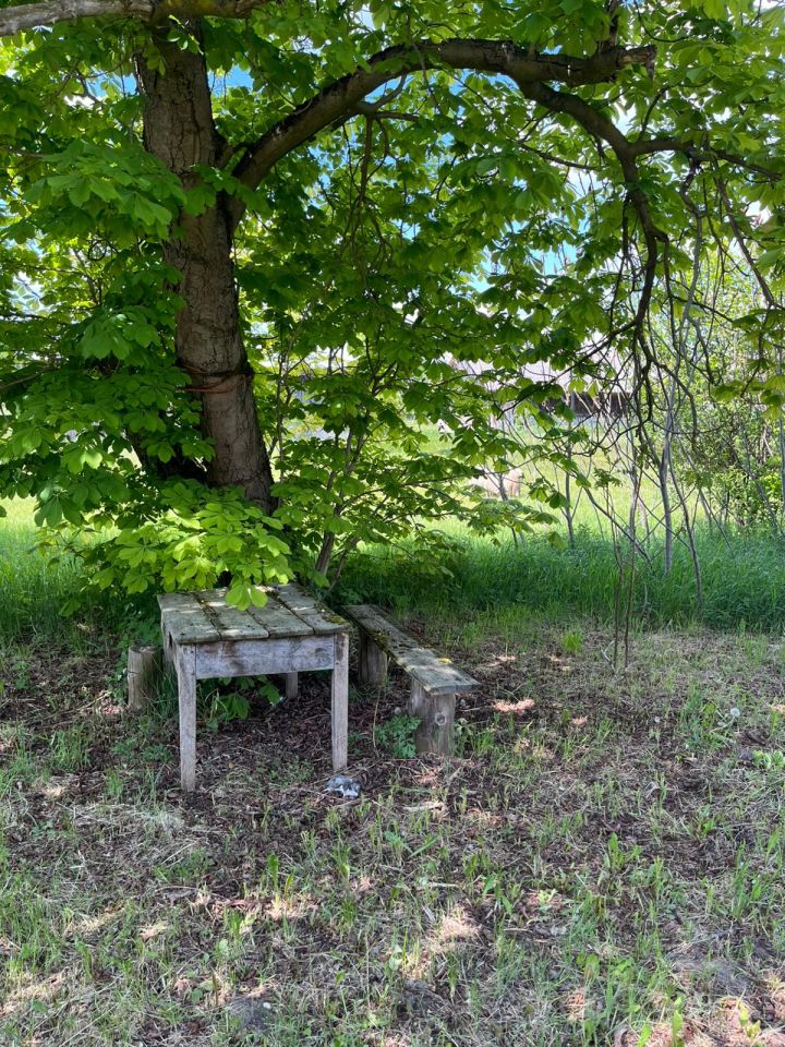 dom wolnostojący, 2 pokoje Wojnów. Zdjęcie 12