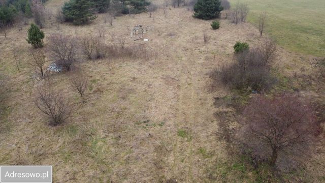 Działka rolna Wielęcin. Zdjęcie 1