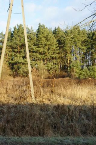 Działka budowlana Gronowo Górne. Zdjęcie 5